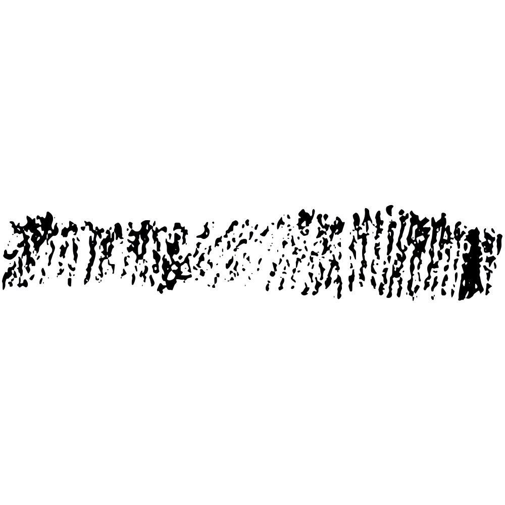 9 Graphite Brush
