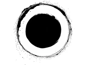 Black Orbit